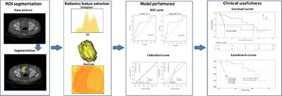 Construction and prognostic value of enhanced CT image omics model for noninvasive prediction of HRG in bladder cancer based on logistic regression and support vector machine algorithm